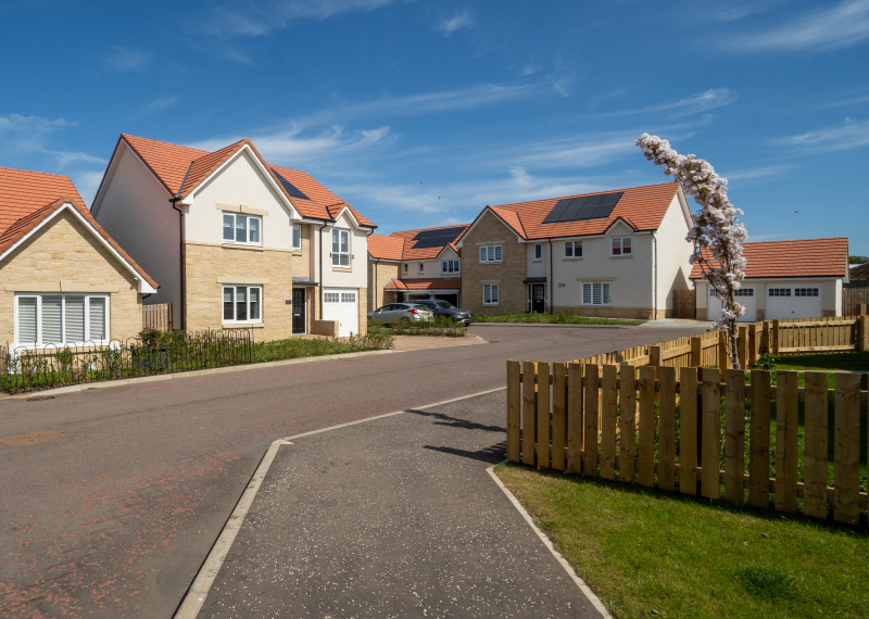 Roseberry Park May25 C