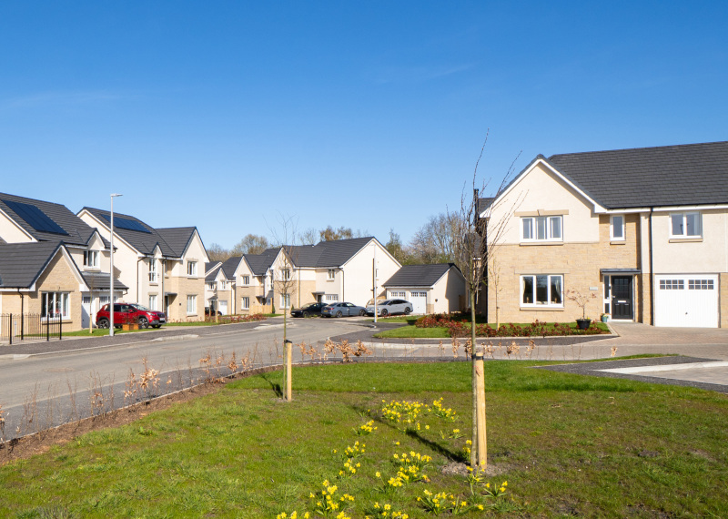 Monarch s Walk Streets H DSC01467